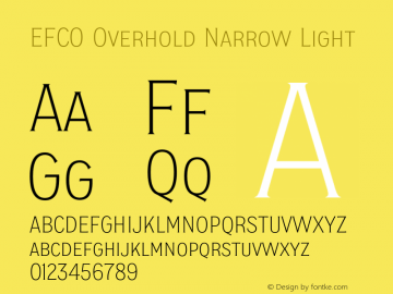 EFCO Overhold Narrow Light Version 1.000;FEAKit 1.0图片样张