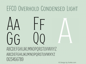 EFCO Overhold Condensed Light Version 1.000;FEAKit 1.0图片样张