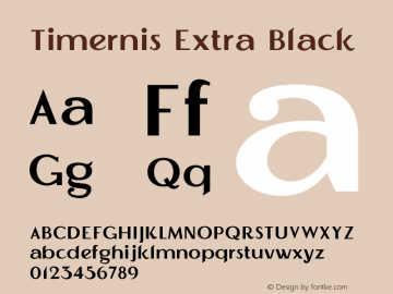 Timernis Extra Black Version 1.000图片样张