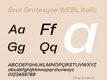 Brut Grotesque WEBL Italic Version 6.001;PS 6.1;hotconv 1.0.88;makeotf.lib2.5.647800图片样张