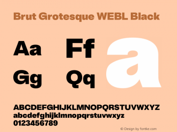 Brut Grotesque WEBL Black Version 6.001;PS 6.1;hotconv 1.0.88;makeotf.lib2.5.647800图片样张