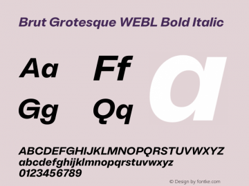 Brut Grotesque WEBL Bold Italic Version 6.001;PS 6.1;hotconv 1.0.88;makeotf.lib2.5.647800图片样张