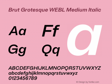 Brut Grotesque WEBL Medium Italic Version 6.001;PS 6.1;hotconv 1.0.88;makeotf.lib2.5.647800图片样张