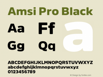 AmsiPro-Black Version 2.10图片样张