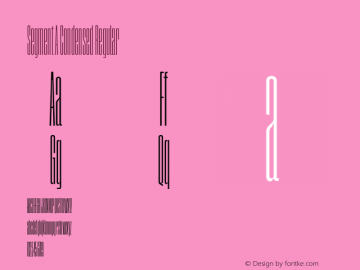 Segment A Condensed Regular Version 1.001;hotconv 1.0.109;makeotfexe 2.5.65596图片样张