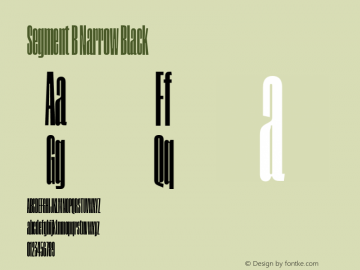 Segment B Narrow Black Version 1.001;hotconv 1.0.109;makeotfexe 2.5.65596图片样张