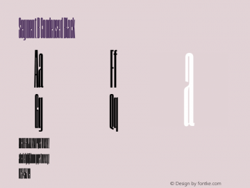 Segment B Condensed Black Version 1.001;hotconv 1.0.109;makeotfexe 2.5.65596图片样张