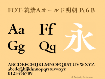 FOT-筑紫Aオールド明朝 Pr6 B 图片样张