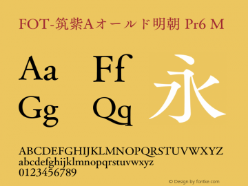 FOT-筑紫Aオールド明朝 Pr6 M 图片样张