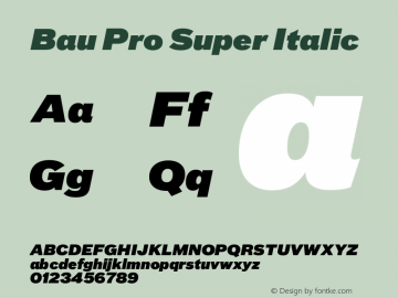 BauPro-SuperItalic Version 7.504; 2010; Build 1020图片样张