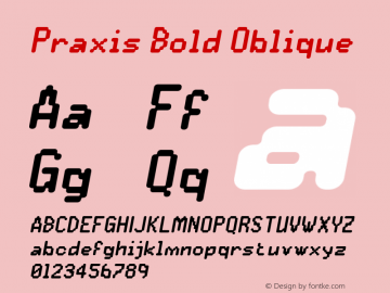 Praxis Bold Oblique 001.000图片样张