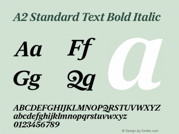 A2 Standard Text Bold Italic Version 1.001图片样张