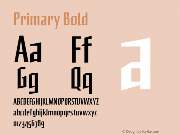 Primary Bold 001.000 Font Sample