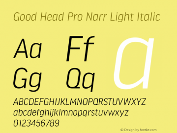 Good Head Pro Narr Light It Version 7.60图片样张