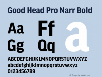 Good Head Pro Narr Bold Version 7.60图片样张