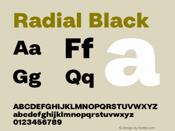 Radial Black Version 1.000图片样张
