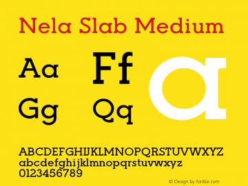 Nela Slab Medium Version 1.000;FEAKit 1.0图片样张