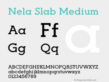 Nela Slab Medium Version 1.000图片样张