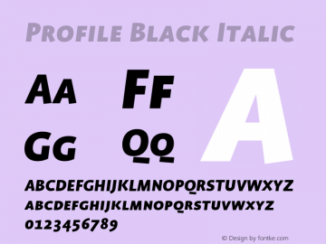 Profile Black Italic Version 001.000 Font Sample