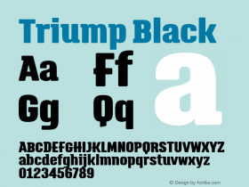 Triump-Black Version 1.000图片样张