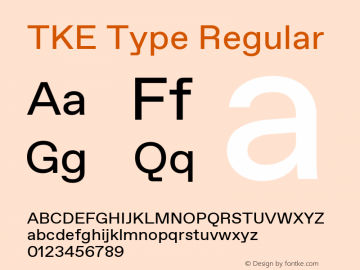 TKE Type Regular Version 2.100图片样张
