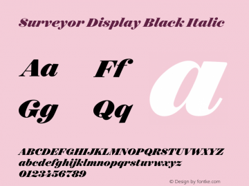 Surveyor Display Black Italic Version 1.200 Basic图片样张