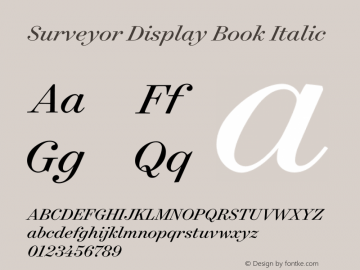 Surveyor Display Book Italic Version 1.200 Basic图片样张