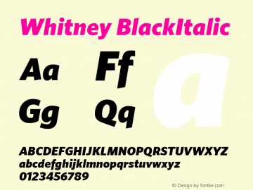 Whitney-BlackItalic Version 001.000图片样张