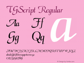 TGScript Altsys Metamorphosis:2/7/92图片样张