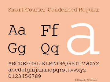 Smart Courier Condensed Version 1.2; 2001图片样张