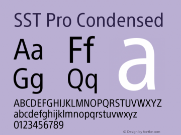 SSTPro-Condensed Version 1.01图片样张