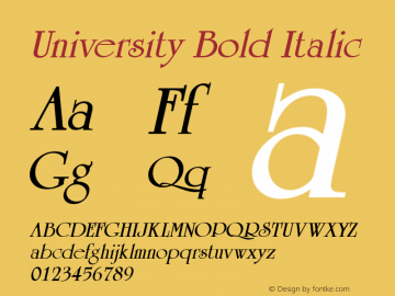 University Bold Italic W.S.I. Int'l v1.1 for GSP: 6/20/95图片样张