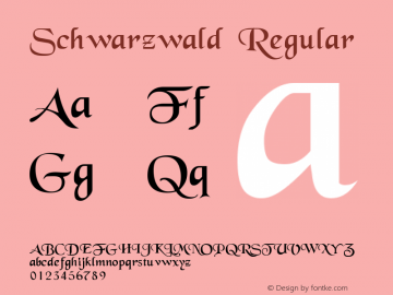 Schwarzwald Regular W.S.I. Int'l v1.1 for GSP: 6/20/95图片样张