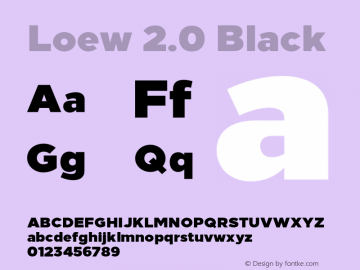 Loew 2.0 Black Version 1.007, Oct 2019图片样张