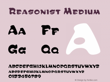 Reasonist Medium Version 001.000图片样张