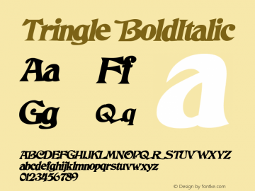 Tringle BoldItalic Macromedia Fontographer 4.1 7/20/96图片样张