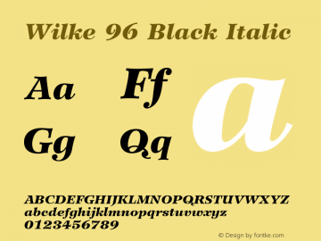 Wilke-BlackItalic OTF 1.0;PS 001.000;Core 1.0.22图片样张