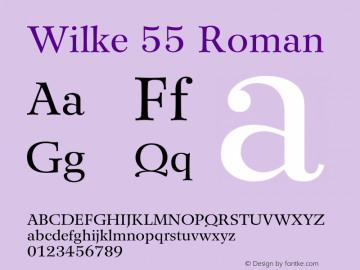 Wilke-Roman OTF 1.0;PS 001.001;Core 1.0.22图片样张