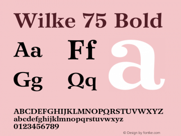 Wilke-Bold OTF 1.0;PS 001.000;Core 1.0.22图片样张