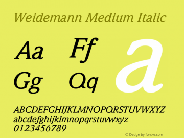 Weidemann-MediumItalic OTF 1.0;PS 001.002;Core 1.0.22图片样张