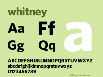 whitney Version 1.00 April 29, 2009, initial release图片样张