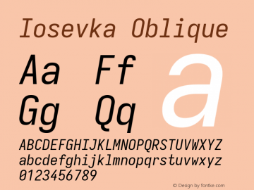 Iosevka Oblique Version 11.0.1; ttfautohint (v1.8.3)图片样张