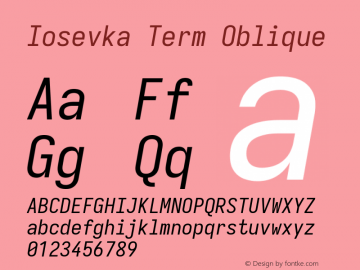 Iosevka Term Oblique Version 11.0.1; ttfautohint (v1.8.3)图片样张
