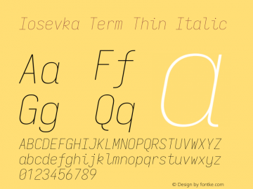 Iosevka Term Thin Italic Version 11.0.1; ttfautohint (v1.8.3)图片样张