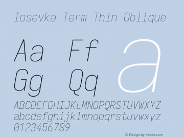 Iosevka Term Thin Oblique Version 11.0.1; ttfautohint (v1.8.3)图片样张