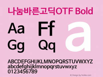 나눔바른고딕OTF Bold 图片样张