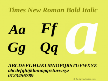 Times New Roman Bold Italic Version 2.00.1图片样张