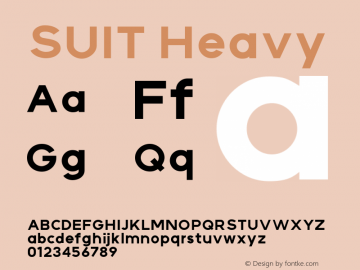 SUIT Heavy Version 1.000图片样张