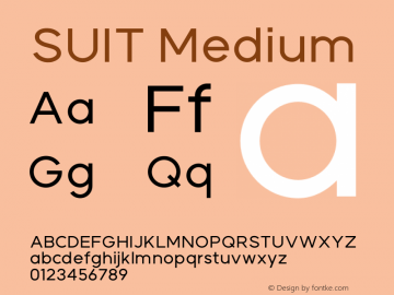 SUIT Medium Version 1.002;FEAKit 1.0图片样张