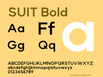 SUIT Bold Version 1.005;FEAKit 1.0图片样张